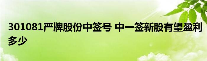 301081嚴牌股份中簽號 中一簽新股有望盈利多少