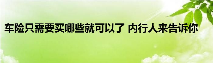 車險(xiǎn)只需要買哪些就可以了 內(nèi)行人來告訴你