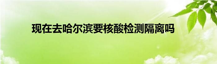 現(xiàn)在去哈爾濱要核酸檢測(cè)隔離嗎