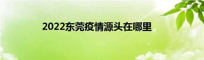 2022東莞疫情源頭在哪里