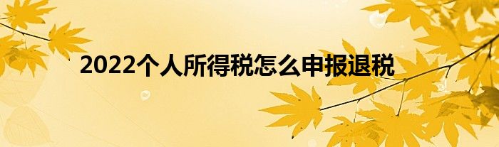 2022個人所得稅怎么申報退稅