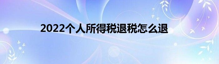 2022個人所得稅退稅怎么退