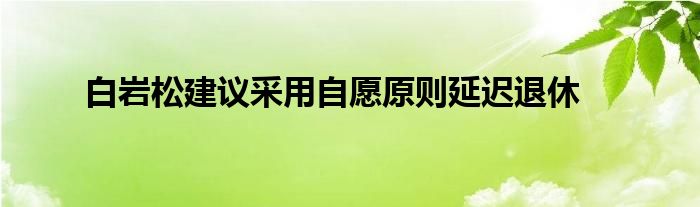 白巖松建議采用自愿原則延遲退休