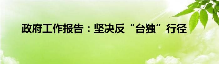 政府工作報(bào)告：堅(jiān)決反“臺(tái)獨(dú)”行徑