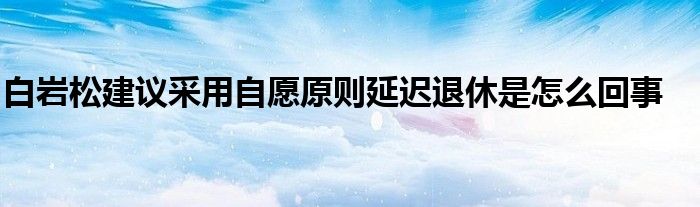 白巖松建議采用自愿原則延遲退休是怎么回事