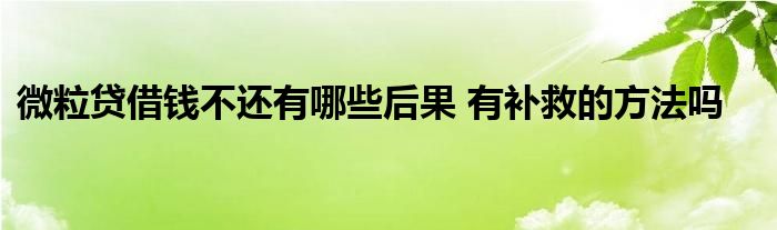 微粒貸借錢不還有哪些后果 有補救的方法嗎