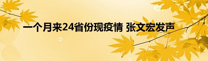 一個月來24省份現(xiàn)疫情 張文宏發(fā)聲