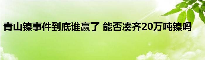 青山鎳事件到底誰(shuí)贏了 能否湊齊20萬(wàn)噸鎳嗎