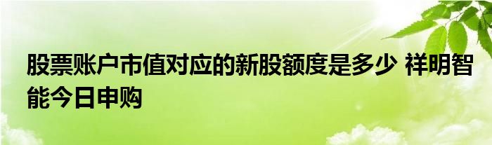 股票賬戶市值對應(yīng)的新股額度是多少 祥明智能今日申購