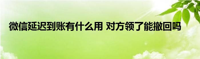 微信延遲到賬有什么用 對方領(lǐng)了能撤回嗎