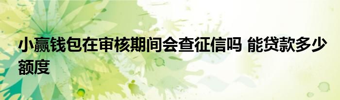 小贏錢包在審核期間會(huì)查征信嗎 能貸款多少額度