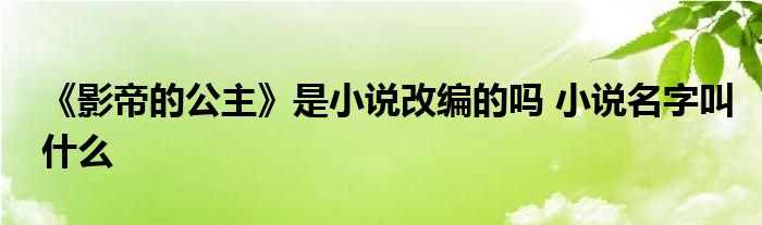 《影帝的公主》是小說改編的嗎 小說名字叫什么