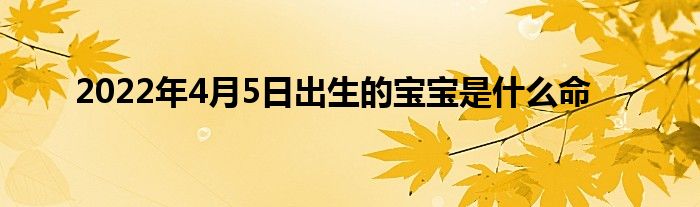 2022年4月5日出生的寶寶是什么命