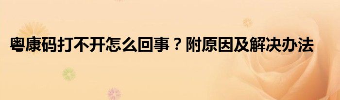 粵康碼打不開怎么回事？附原因及解決辦法