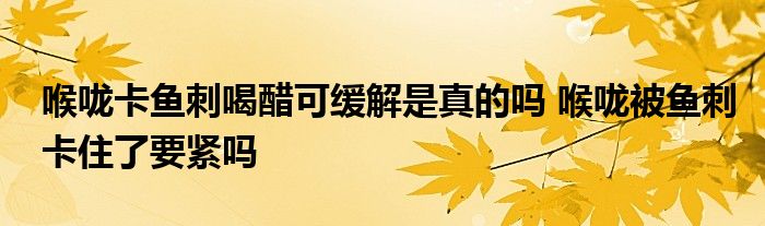 喉嚨卡魚刺喝醋可緩解是真的嗎 喉嚨被魚刺卡住了要緊嗎