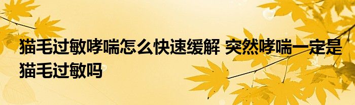 貓毛過敏哮喘怎么快速緩解 突然哮喘一定是貓毛過敏嗎