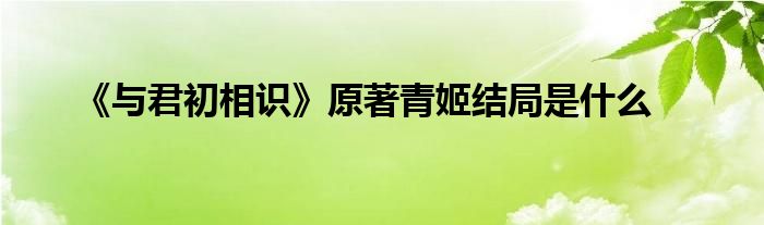 《與君初相識》原著青姬結(jié)局是什么