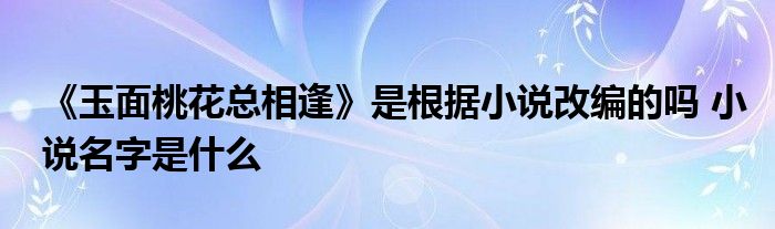 《玉面桃花總相逢》是根據小說改編的嗎 小說名字是什么