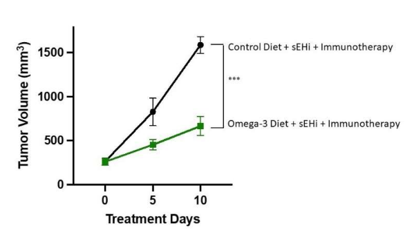 Omega-3可以增強(qiáng)免疫療法的抗癌能力