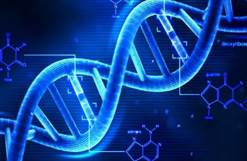 技術(shù)同時(shí)測量基因活性和 DNA 包裝