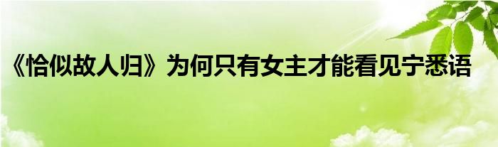 《恰似故人歸》為何只有女主才能看見寧悉語