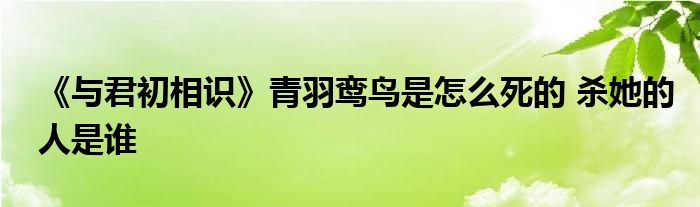 《與君初相識》青羽鸞鳥是怎么死的 殺她的人是誰