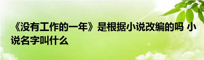 《沒有工作的一年》是根據(jù)小說改編的嗎 小說名字叫什么