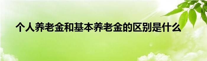 個(gè)人養(yǎng)老金和基本養(yǎng)老金的區(qū)別是什么