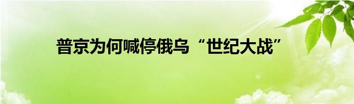 普京為何喊停俄烏“世紀(jì)大戰(zhàn)”