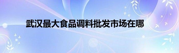 武漢最大食品調(diào)料批發(fā)市場(chǎng)在哪