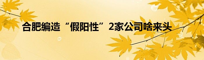 合肥編造“假陽(yáng)性”2家公司啥來(lái)頭