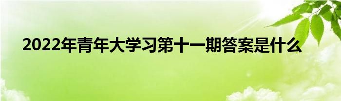 2022年青年大學(xué)習(xí)第十一期答案是什么