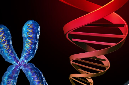 新方法可以對 RNA 分子進行結(jié)構(gòu)分析