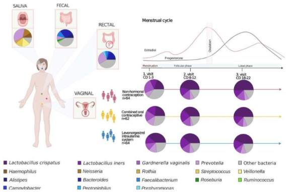 陰道微生物組的新發(fā)現(xiàn)