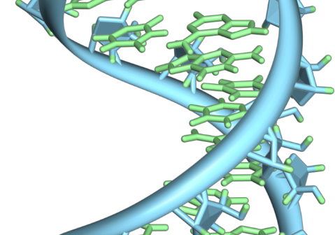 線粒體中的 RNA 修飾促進(jìn)癌癥的侵襲性擴(kuò)散