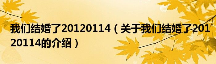 我們結(jié)婚了20120114（關(guān)于我們結(jié)婚了20120114的介紹）