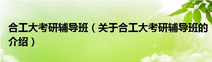 合工大考研輔導(dǎo)班（關(guān)于合工大考研輔導(dǎo)班的介紹）