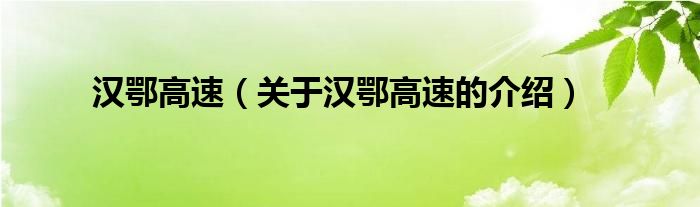 漢鄂高速（關(guān)于漢鄂高速的介紹）