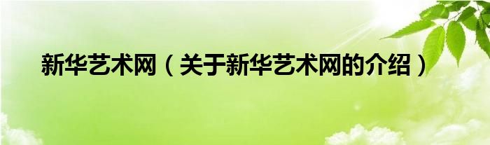 新華藝術(shù)網(wǎng)（關(guān)于新華藝術(shù)網(wǎng)的介紹）