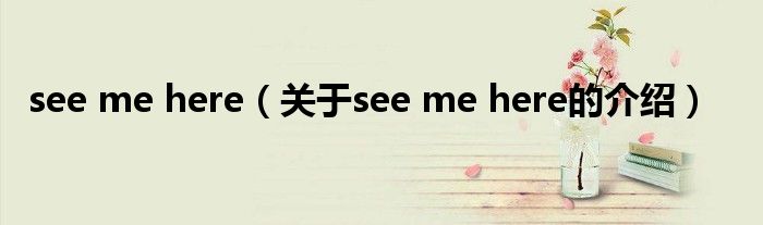 see me here（關于see me here的介紹）