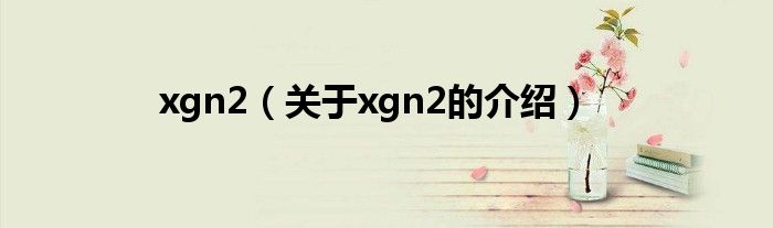 xgn2（關于xgn2的介紹）