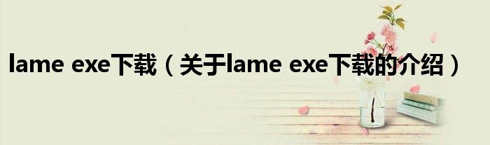 lame exe下載（關(guān)于lame exe下載的介紹）