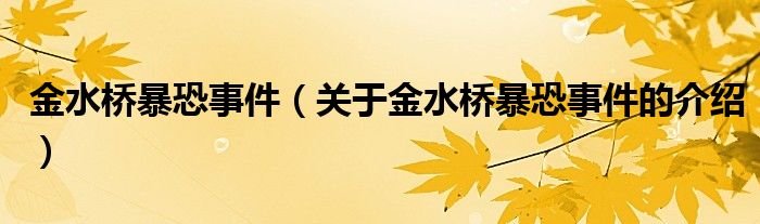 金水橋暴恐事件（關(guān)于金水橋暴恐事件的介紹）