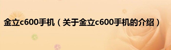 金立c600手機(jī)（關(guān)于金立c600手機(jī)的介紹）