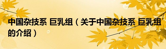 中國雜技系 巨乳組（關(guān)于中國雜技系 巨乳組的介紹）