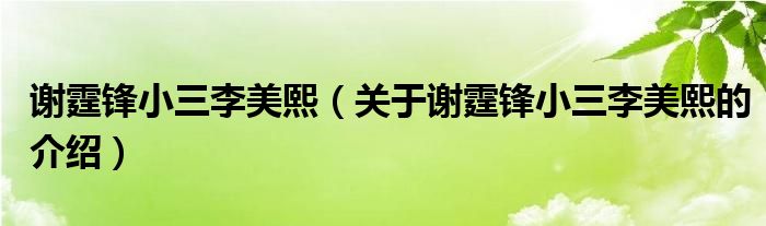 謝霆鋒小三李美熙（關(guān)于謝霆鋒小三李美熙的介紹）