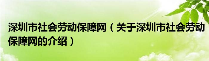 深圳市社會勞動保障網(wǎng)（關(guān)于深圳市社會勞動保障網(wǎng)的介紹）