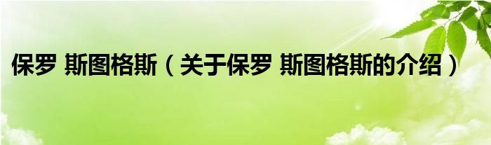 保羅 斯圖格斯（關(guān)于保羅 斯圖格斯的介紹）