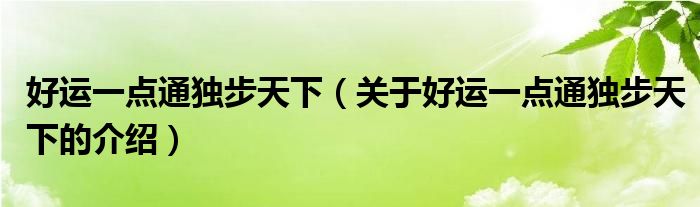 好運一點通獨步天下（關(guān)于好運一點通獨步天下的介紹）