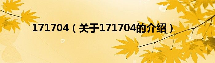 171704（關(guān)于171704的介紹）